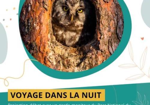 Voyages dans la nuit_Saint-Martin-Vésubie