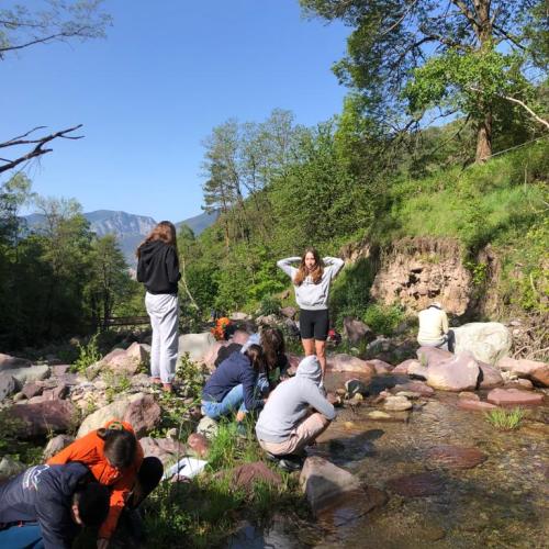 Des lycéens de Valdeblore au chevet du torrent de Millefonts © R. Lurion / PnM