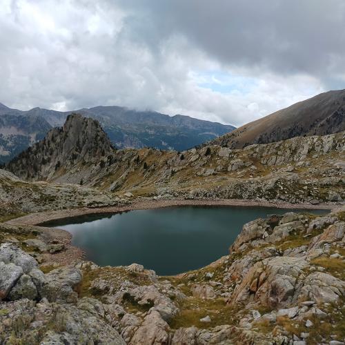 Lac de Bresses en fin août 2022 © M.-F. Leccia / PnM