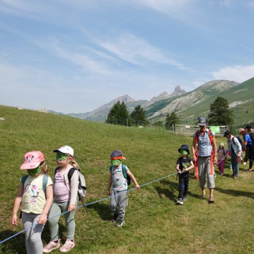 Au royaume des marmottes : Une journée inoubliable pour des écoliers de Barcelonnette © S. Lantelme / PnM