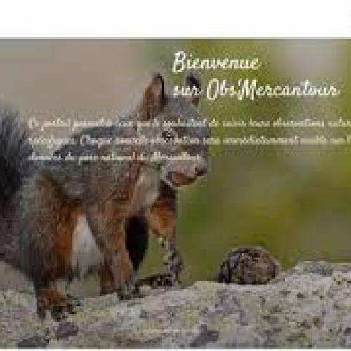 Tutoriel pour l'utilisation de Obs'Mercantour