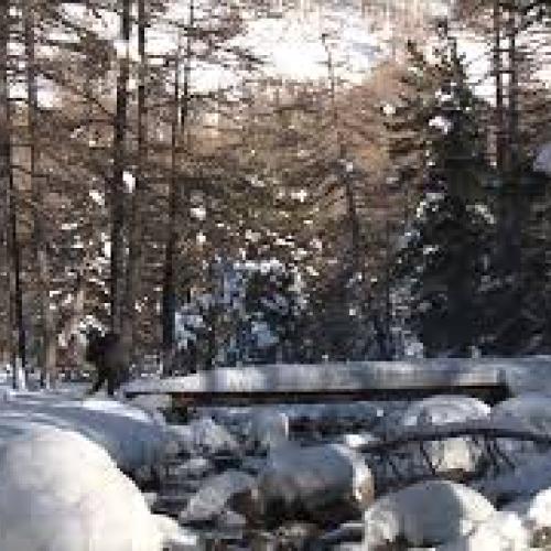 Chroniques du Mercantour - Saison 1 - Episode 4 : Cédric Robion, photographe animalier