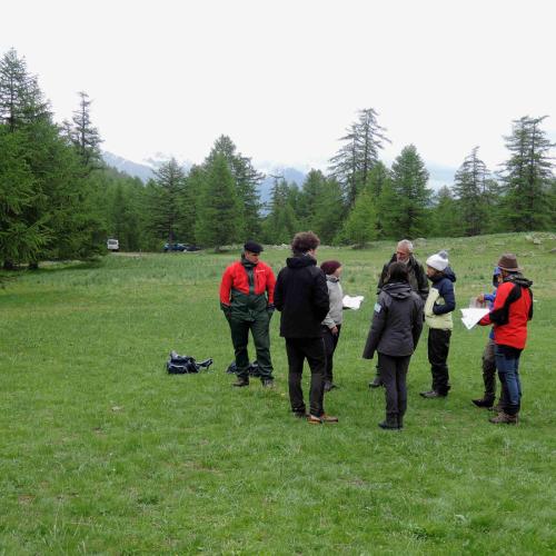 Échanges sur les moyens d'évaluer l'état de conservation des milieux ouverts d'altitude © C. Assmann / PnM