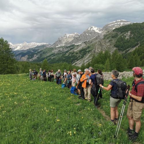 Le Mercantour face au changement climatique : des Rencontres au sommet pour sensibiliser et agir