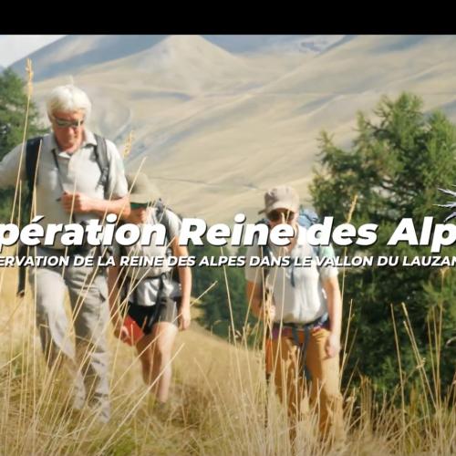 titre-video-reine-des-alpes.jpg