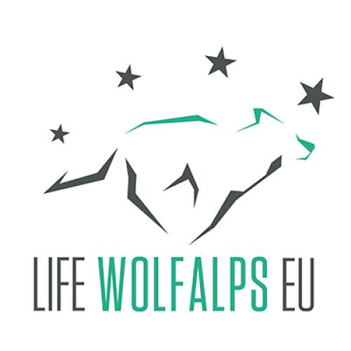 life_wolfalps-400px.jpg