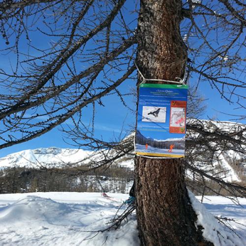 panneau-annoncant-la-zone-de-quietude-des-le-plateau-de-sestriere-400px.jpg