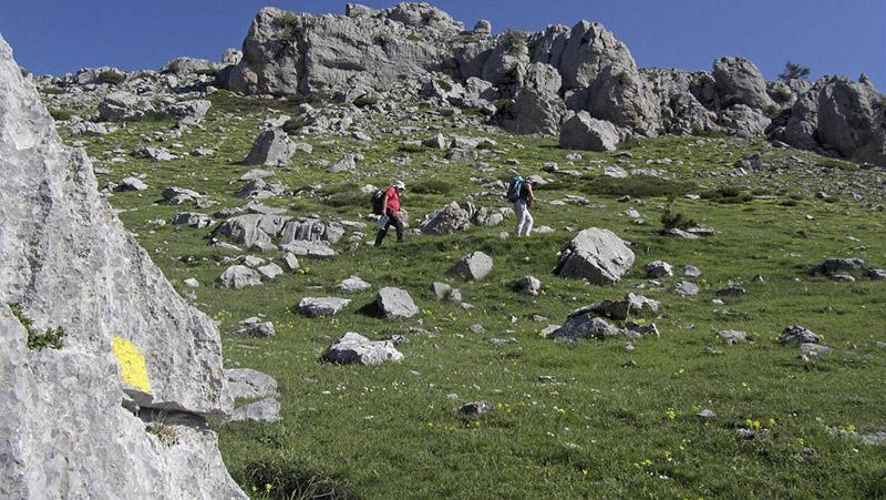 Randonneurs sur le chemin du mont Mounier (2817 m) en été