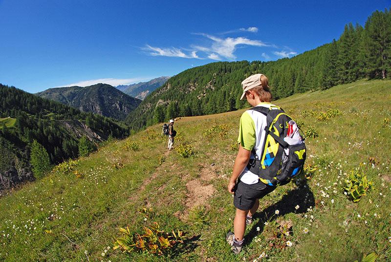 Randonneurs dans une prairie