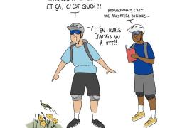 vtt_1_800.jpg