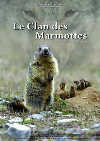 "Le clan des marmottes"_Péone - affiche du film