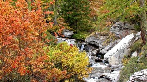 Rivière