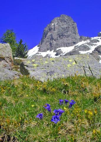 Le  Mercantour 70 ans de protection de la nature raconté par le plus ancien un garde moniteur en service_Saint-Martin-Vésubie
