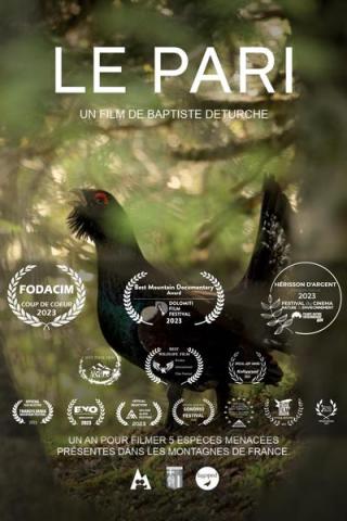 Le Pari : les oiseaux de montagne comme vous ne les avez jamais vus_Tende