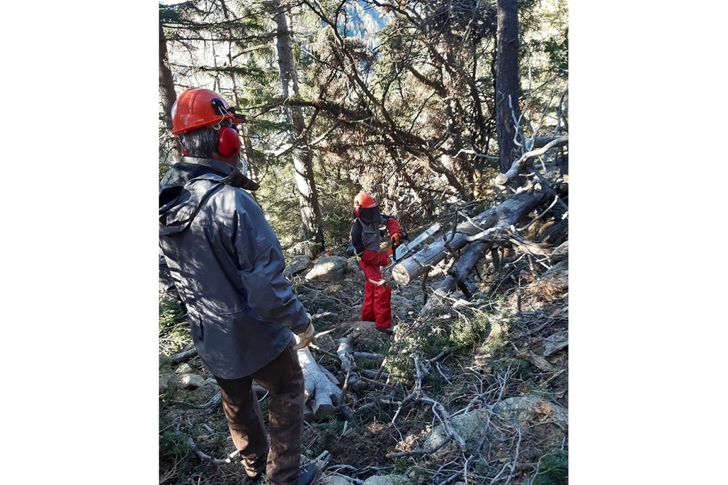 Chantier sur le sentier © J. Brahim / PnM