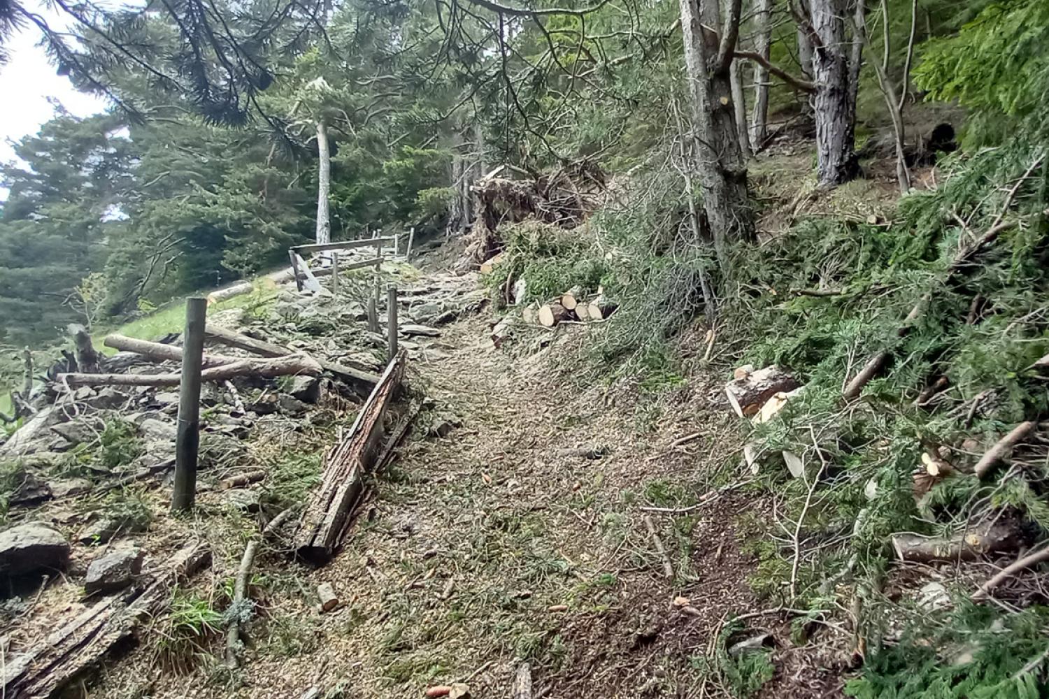 Départ sentier du Cavalet après le déblaiement des chablis © J.-M. Gusmeroli / PnM