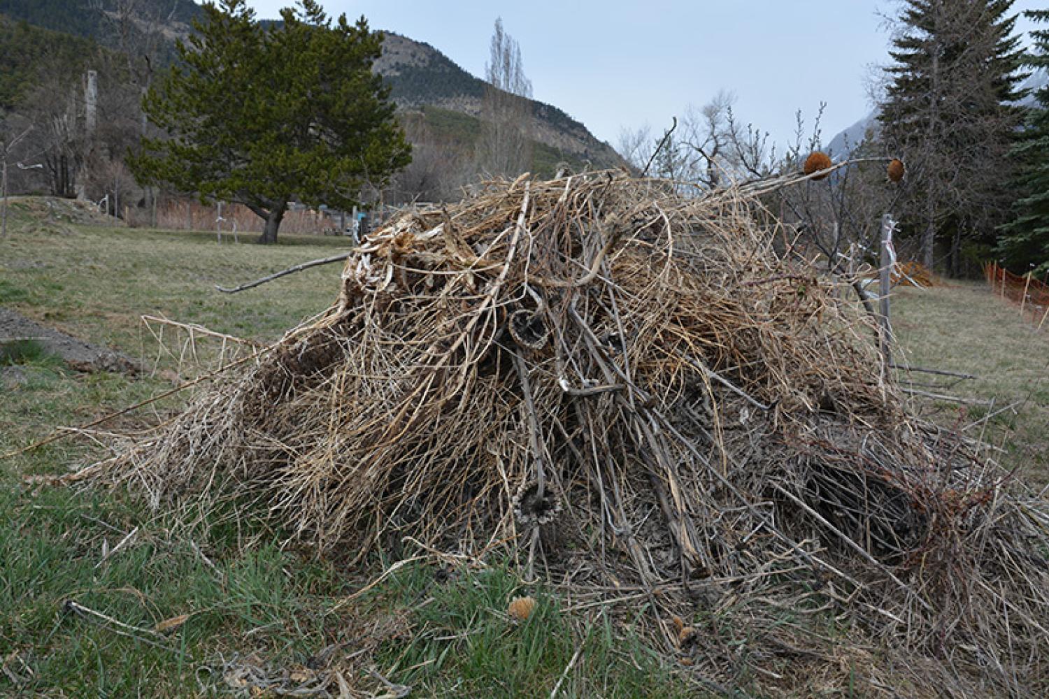 approuv-par-le-hrisson.-le-tas-de-compost-accessible-f.-breton-800px.jpg