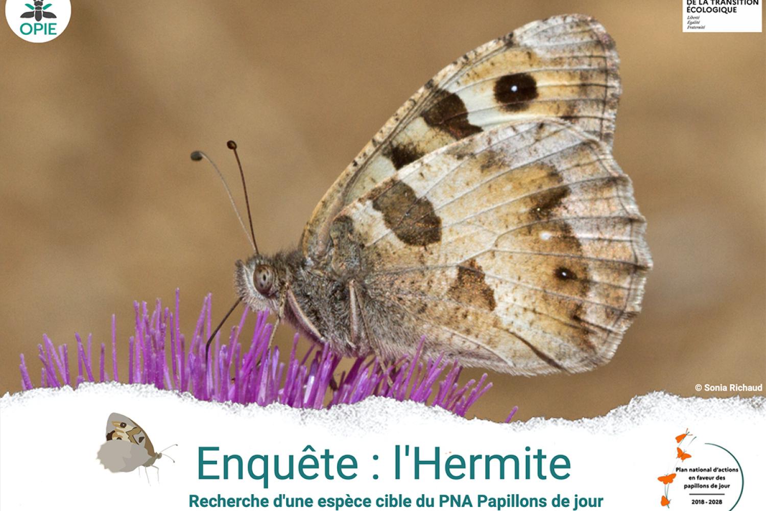 hermite-1200px.jpg