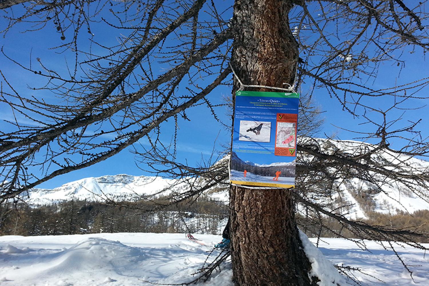 panneau-annoncant-la-zone-de-quietude-des-le-plateau-de-sestriere-800px.jpg