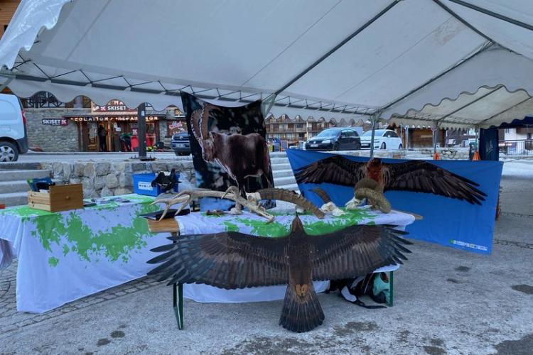 Atelier naturaliste - Atelier naturaliste