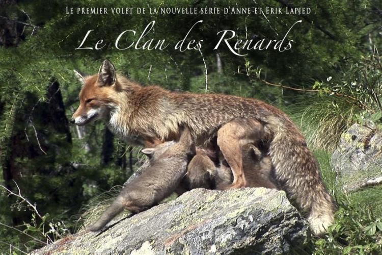 Le clan des renards - Le clan des renards