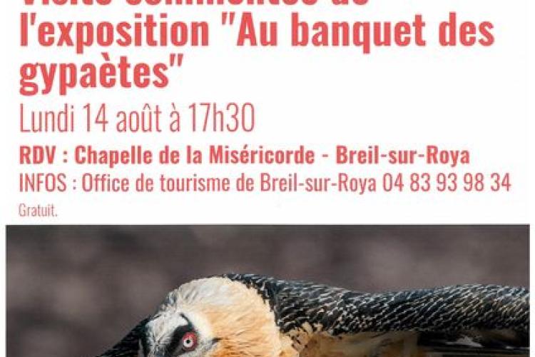 Conférence - Conférence