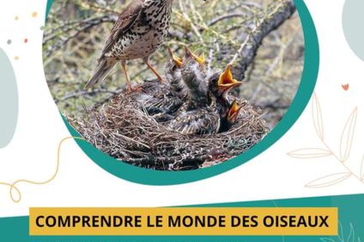 À la découverte du monde des oiseaux_Saint-Martin-Vésubie