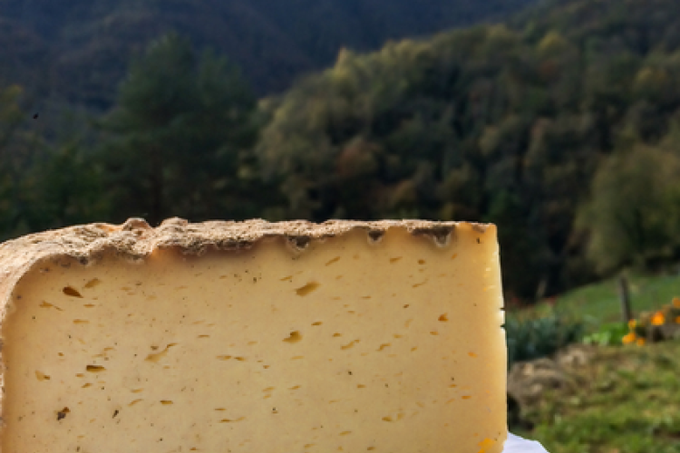 Rando Gourmande_Tende