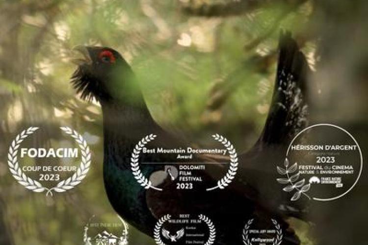 Le Pari : les oiseaux de montagne comme vous ne les avez jamais vus_Tende