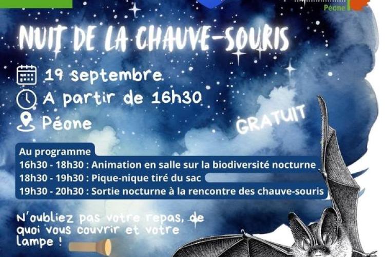 Nuit de la chauve-souris_Péone